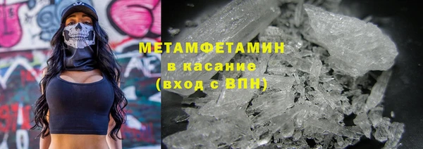 кокс Гатчина