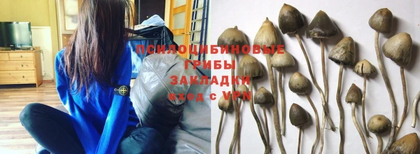 ALPHA-PVP Белокуриха